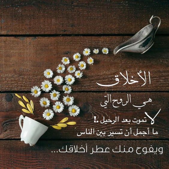 صور معبرة 6