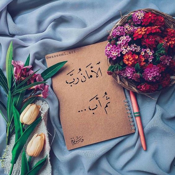 صور معبرة 7