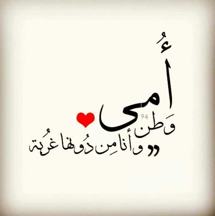 اجمل كلام بحق الام