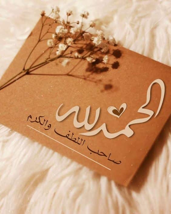 صور معبرة 8