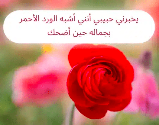 اقوال وحكم عن الورد 