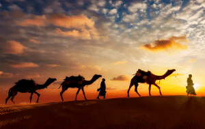 اقوال وحكم عن الهجرة النبوية