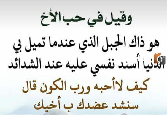 اقوال وحكم عن الاخوة