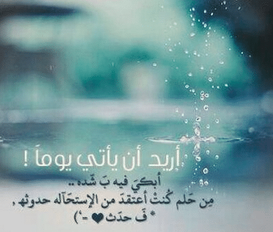 كلام عن الهدوء والروقان تويتر 4