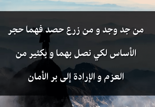 عبارات عن الجد والاجتهاد في الدراسة تويتر 1