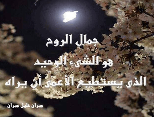 اقتباسات عن الجمال تويتر 1
