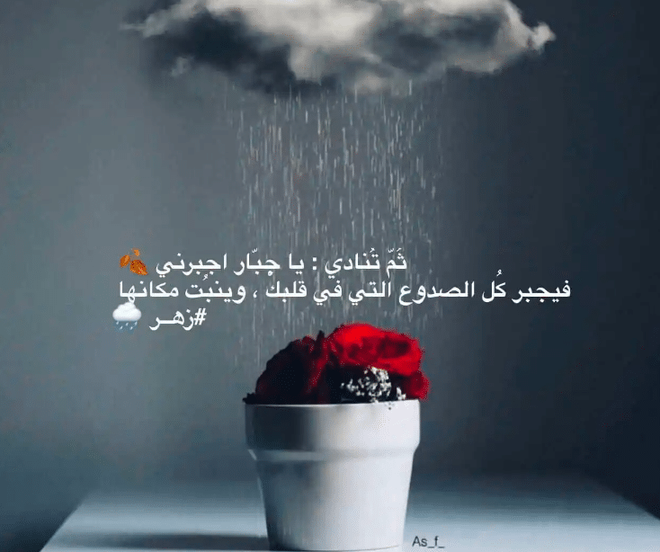 عبارات عن الثلج تويتر 1