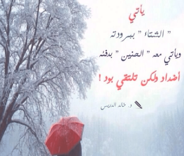 عبارات عن الثلج تويتر 2
