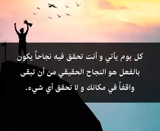عبارات عن الجد والاجتهاد في الدراسة تويتر 3