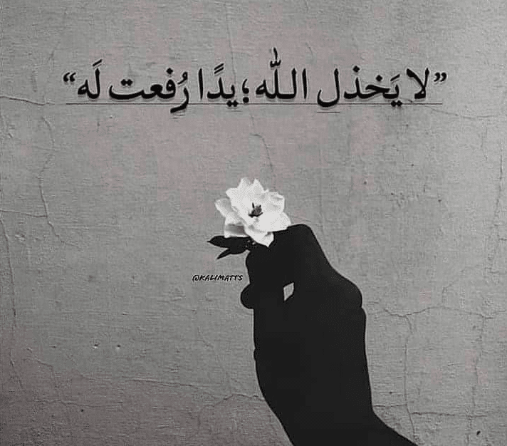 كلام عن الثقة بالله تويتر 3