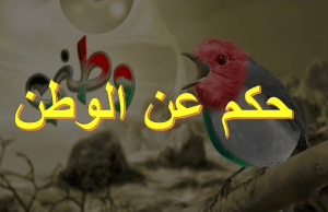 اقوال وحكم عن الوطن