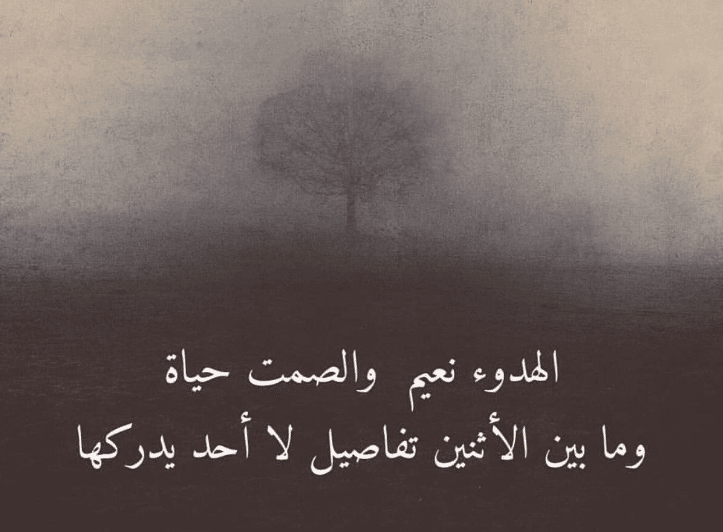 كلام عن الهدوء والروقان تويتر 3