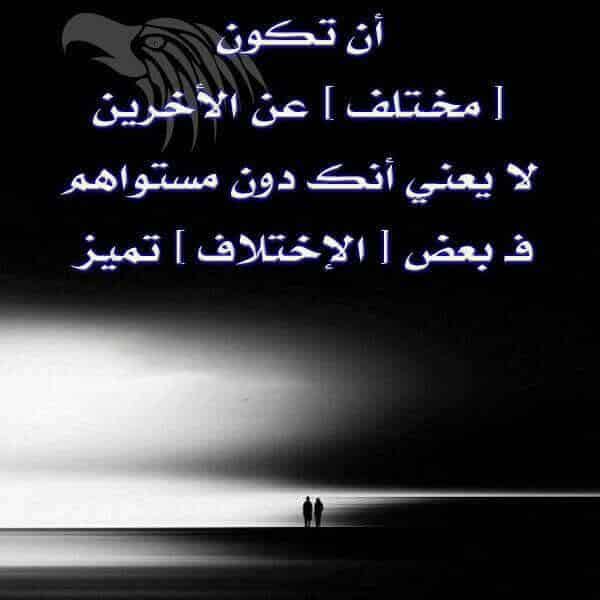 عبارات عن الاختلاف تويتر 3