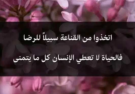 اقوال وحكم عن القناعة
