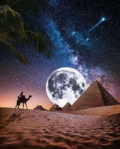 موضوع حول الحضارة الكونية باللغة الفرنسية