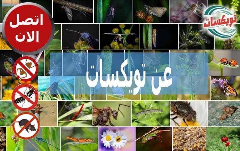 شركة تويسكات لمكافحة الحشرات ورش المبيدات