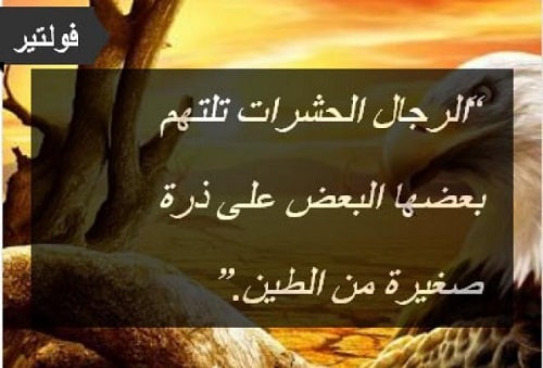 اقوال وحكم عن الحشرات