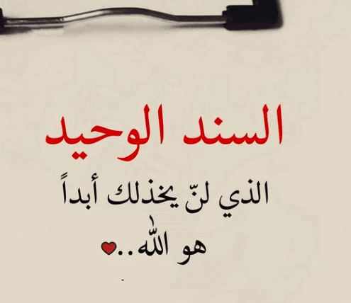 اقوال وحكم عن السند