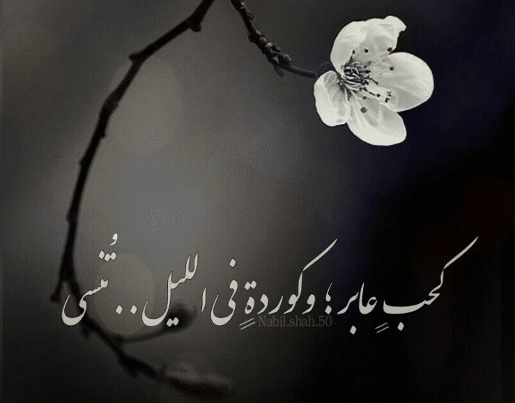 اقوال وحكم عن الليل