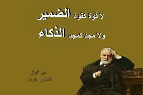 أقوال وحكم عن الذكاء 