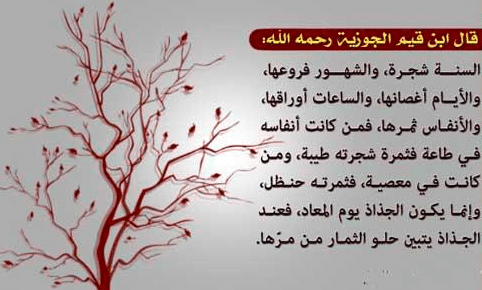 اقوال وحكم عن الشجرة 