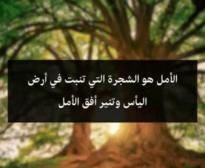 اقوال وحكم عن الشجرة