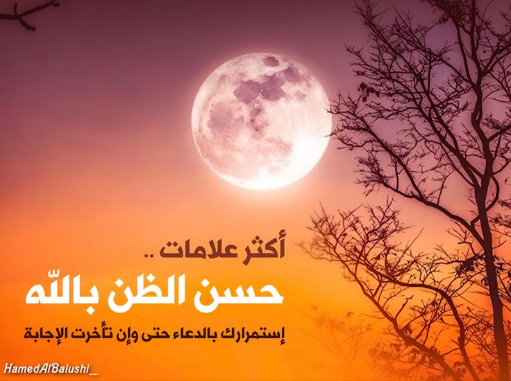 اجمل ما قيل في حسن الظن بالله