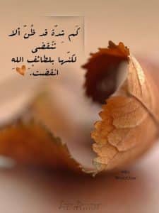 أجمل المقولات