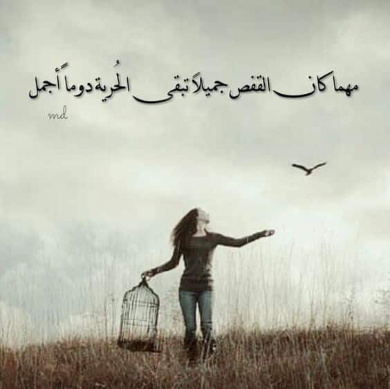 عبارات عن الحرية الشخصية