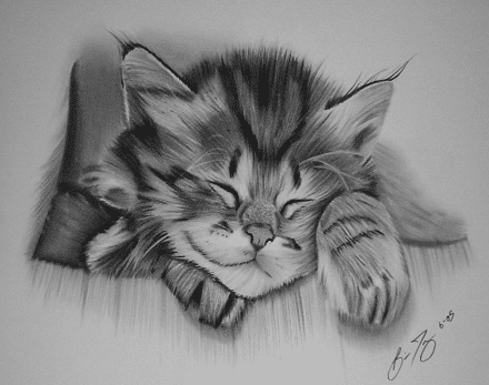 رسومات بالرصاص للمحترفين 3