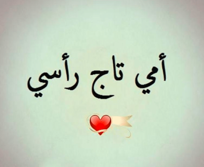 مقدمة عن الام