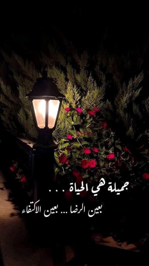 اجمل الكلام مع الصور عن الحياة2