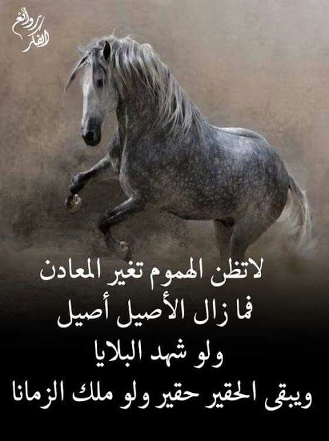 خلفيات مكتوب عليها كلام قوي1
