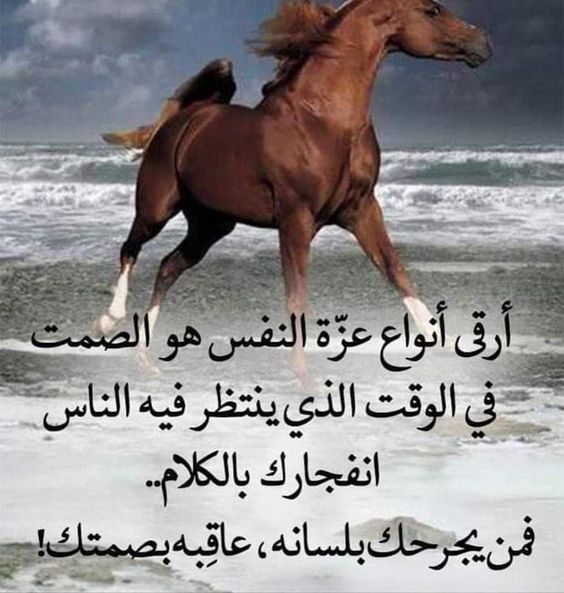 خلفيات مكتوب عليها كلام قوي2