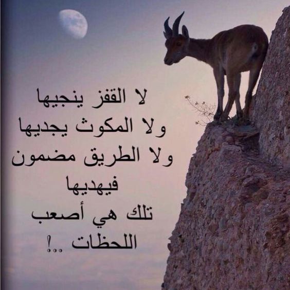 خلفيات مكتوب عليها كلام قوي4