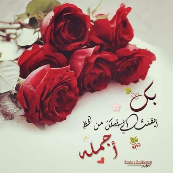 ورد مكتوب عليها كلام حب1