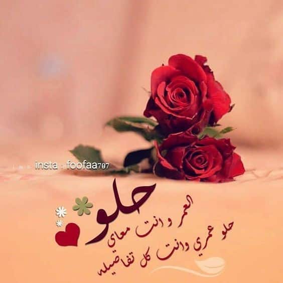 ورد مكتوب عليها كلام حب2