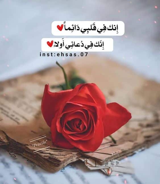 ورد مكتوب عليها كلام حب3