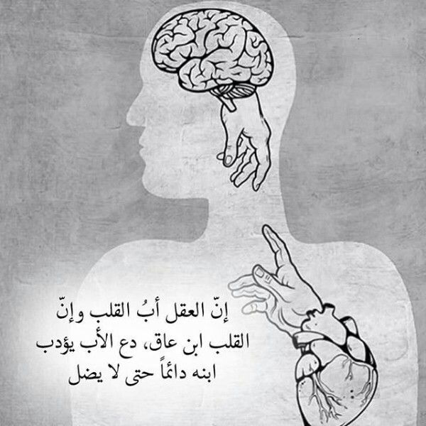 خلفيات مكتوب عليها كلام قوي2