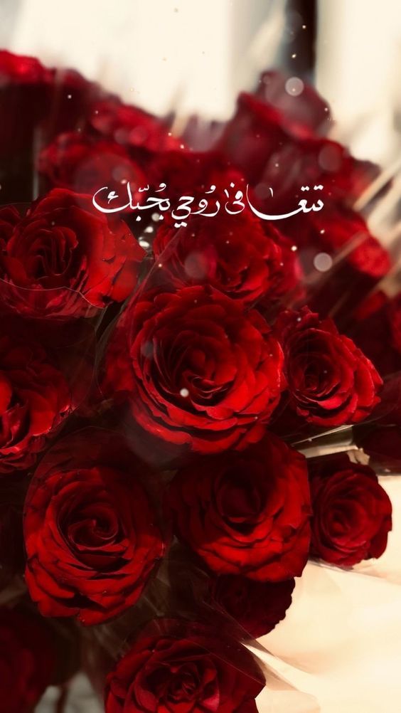 صور كلام حب لحبيبتي2