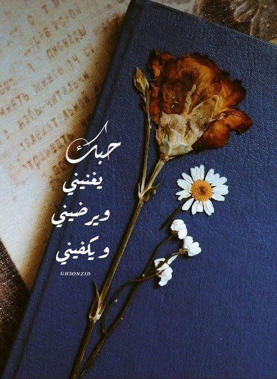 صور كلام حب لحبيبتي3