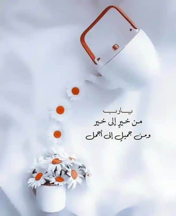 خلفيات واتس يارب2