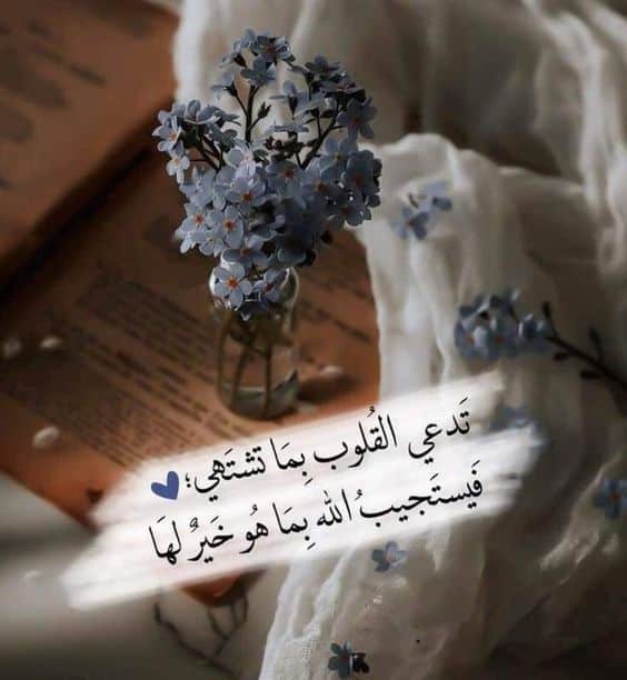 خلفيات عن الحياة والامل3
