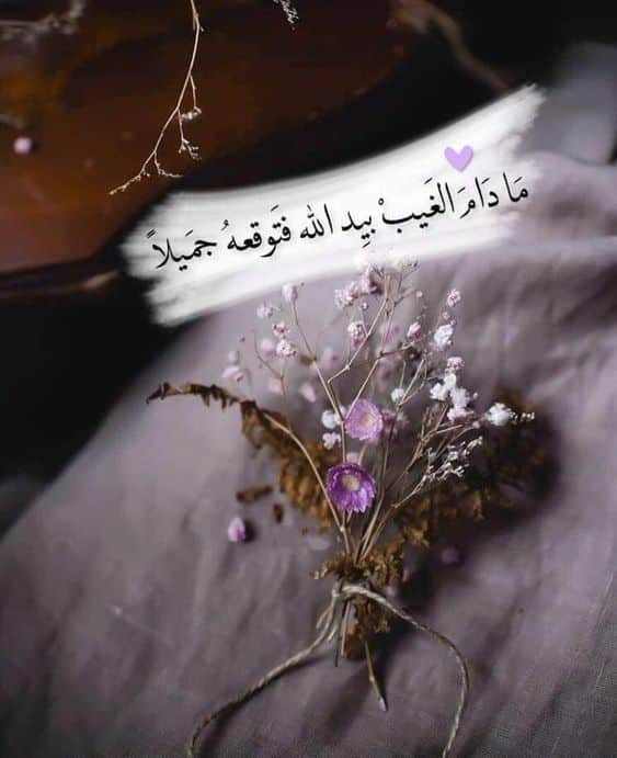 خلفيات عن الحياة والامل4