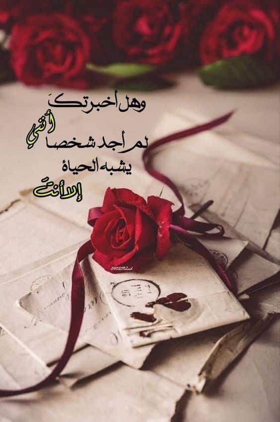 بوستات مكتوب عليها كلام حب4