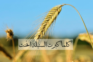 اشعار عن التواضع