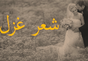 اشعار عن الحب والغزل