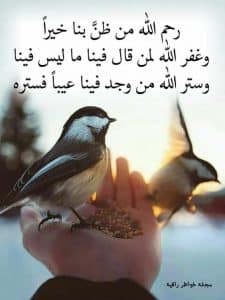 حالات واتس معبرة وهادئة صور