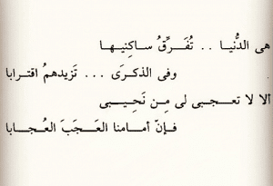 اشعار عن الدنيا