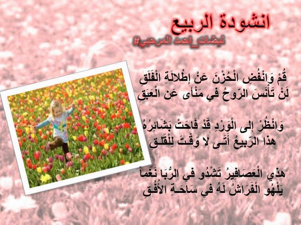اشعار عن الربيع